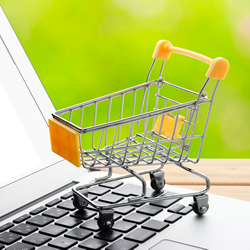 ECシステム（ネットショップ）の販売